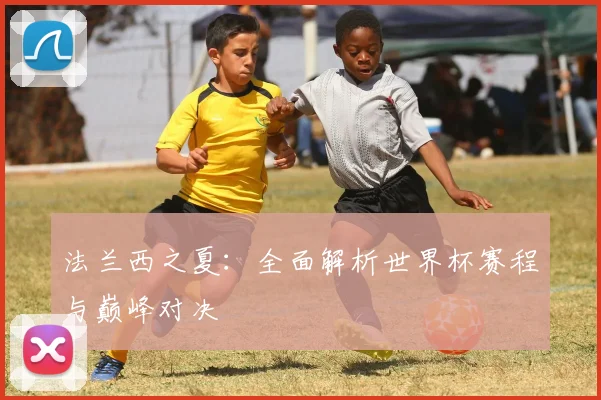 法兰西之夏：全面解析世界杯赛程与巅峰对决
