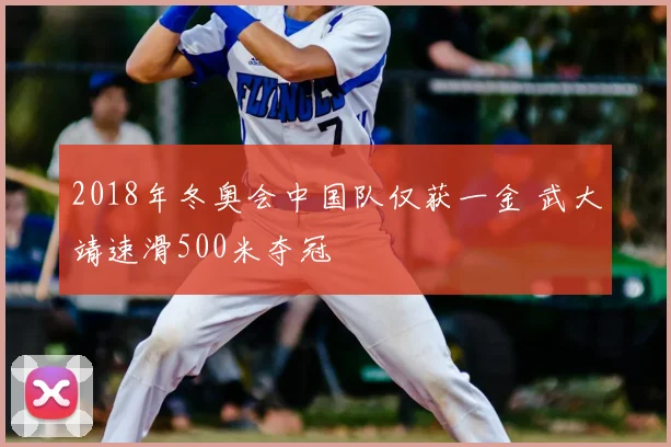 2018年冬奥会中国队仅获一金 武大靖速滑500米夺冠