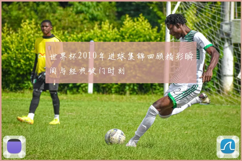 世界杯2010年进球集锦回顾精彩瞬间与经典破门时刻