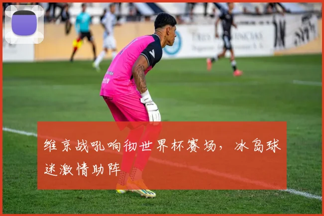 维京战吼响彻世界杯赛场,冰岛球迷激情助阵
