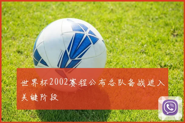 世界杯2002赛程公布各队备战进入关键阶段